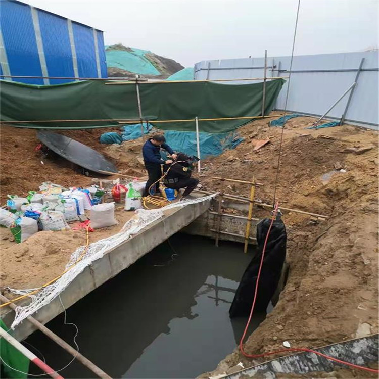 上海市打捞公司-本地专业水下打捞队
