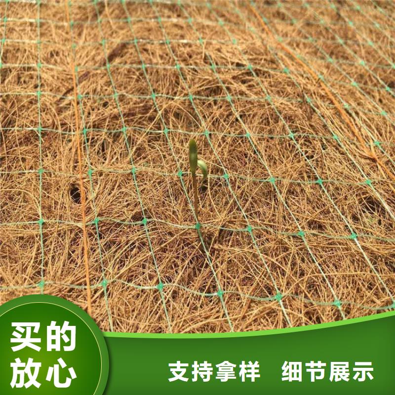 江苏水保抗冲生物毯植草绿化毯性能稳定