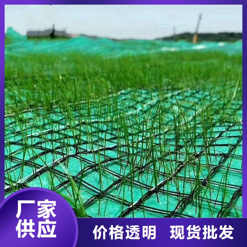 福州市植物纤维毯护坡植被植草毯当地生产商