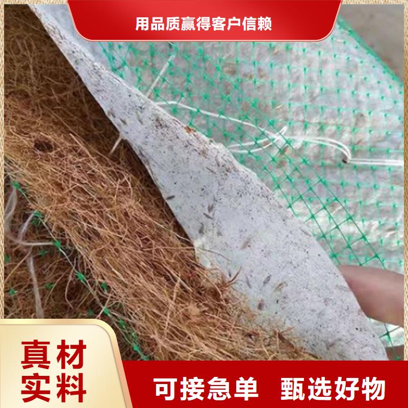 崇左市抗冲加筋生态毯质量优选