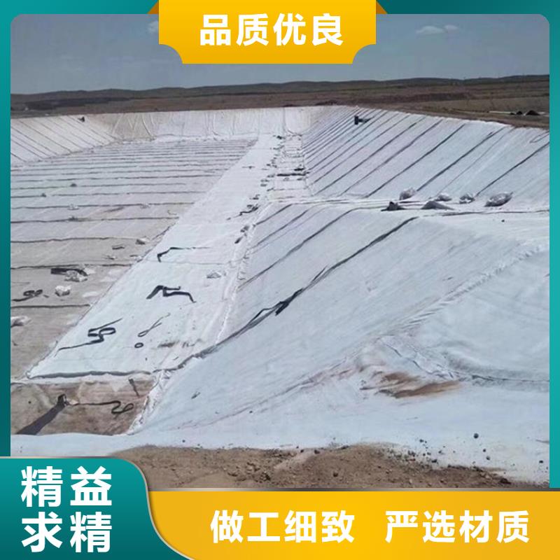 膨润土防水毯双向土工格栅厂家技术完善当地生产商