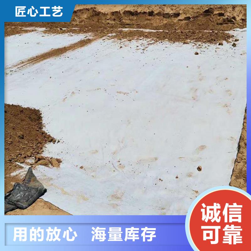 【膨润土防水毯】土工膜专心专注专业品质信得过