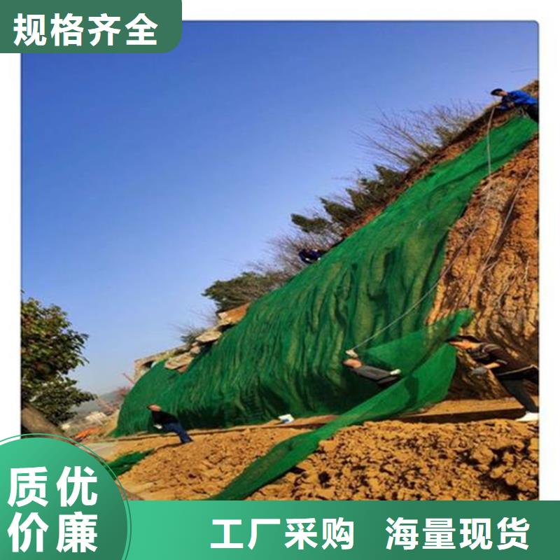 【三维植被网】_土工膜价格实惠当地厂家