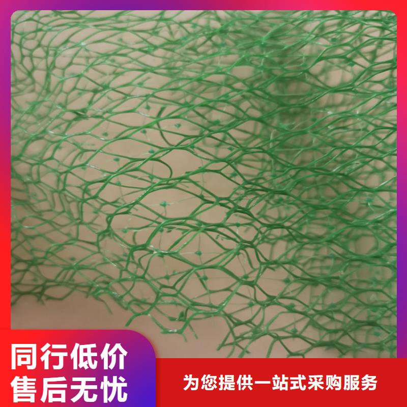 三维植被网【透水管】随到随提现货充足量大优惠