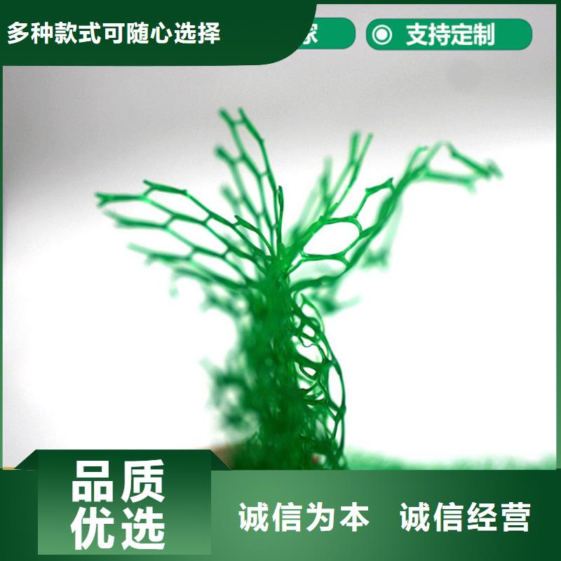 三维植被网土工格栅质检合格发货极速发货