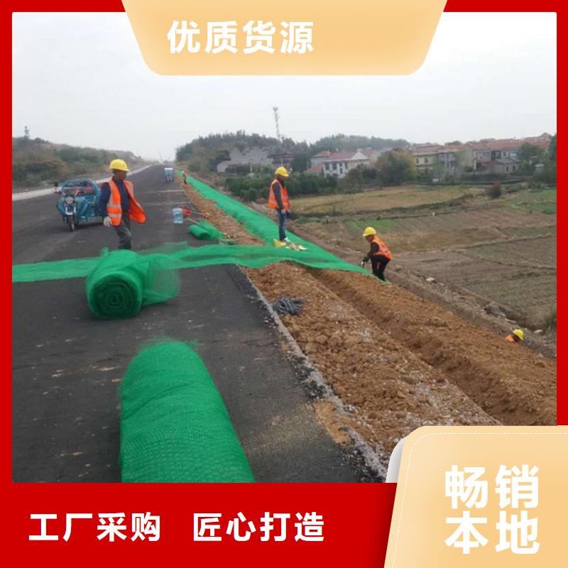 安阳市加筋绿化三维固土网垫厂家现货供应