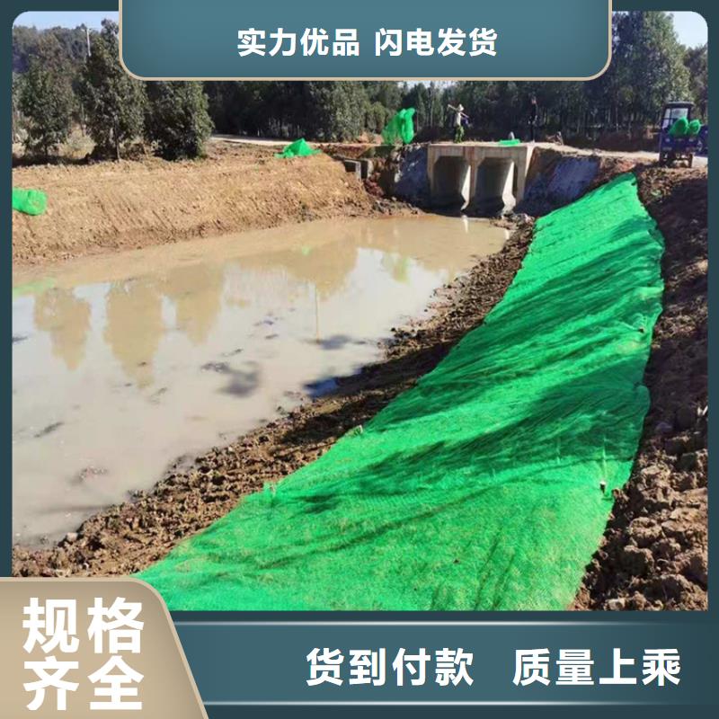 三维植被网-双向土工格栅实拍品质保障现货交易