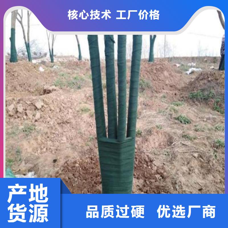 黑河市大树裹树布树木保湿布同城供应商