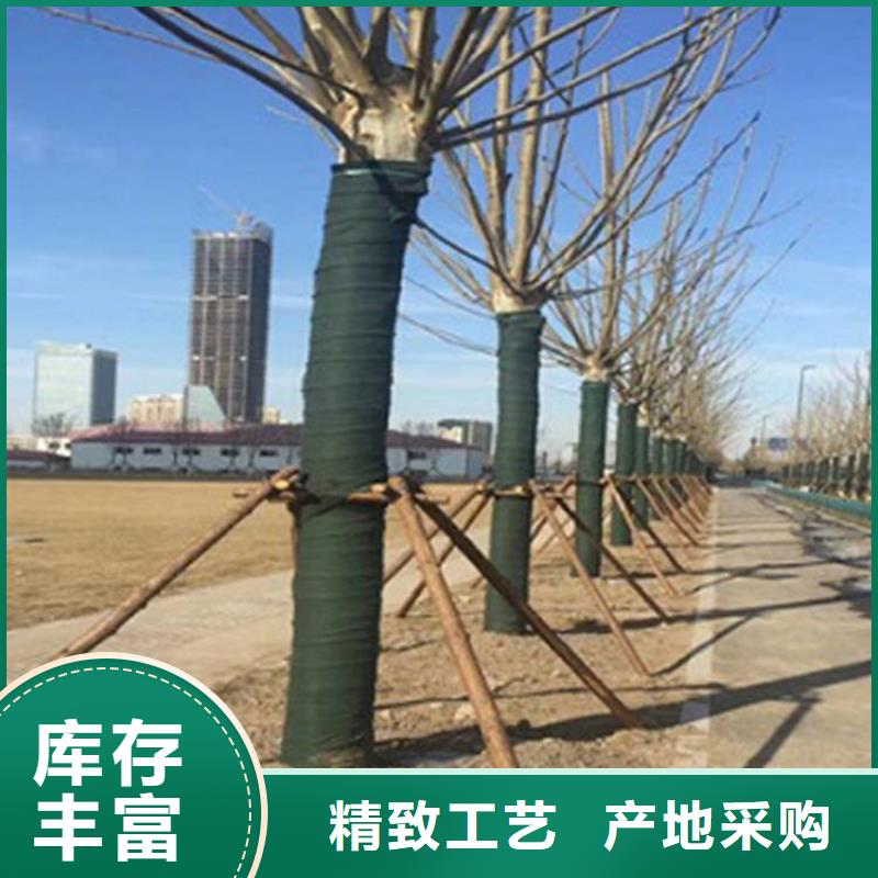 玉树市包树布工程绿化裹树布当地制造商