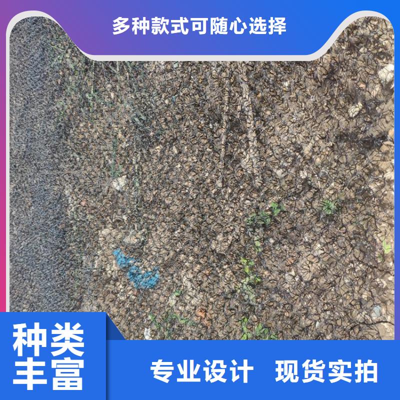 水土保护毯_【防渗膜】质量层层把关附近品牌