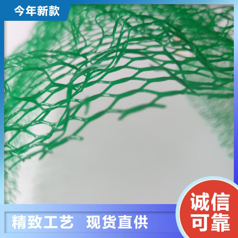 三维植被网#EM5草皮订制批发