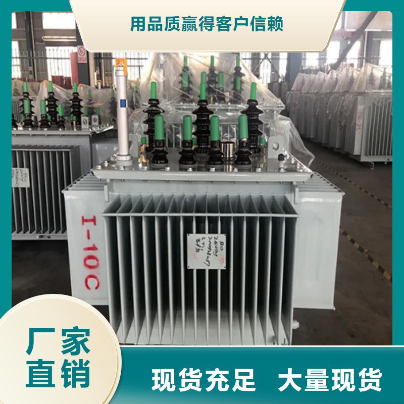 郴州S20-m-800/10油浸式变压器优质供货商