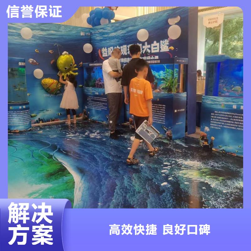 【香港海洋主题动物表演-羊驼出租多家服务案例】