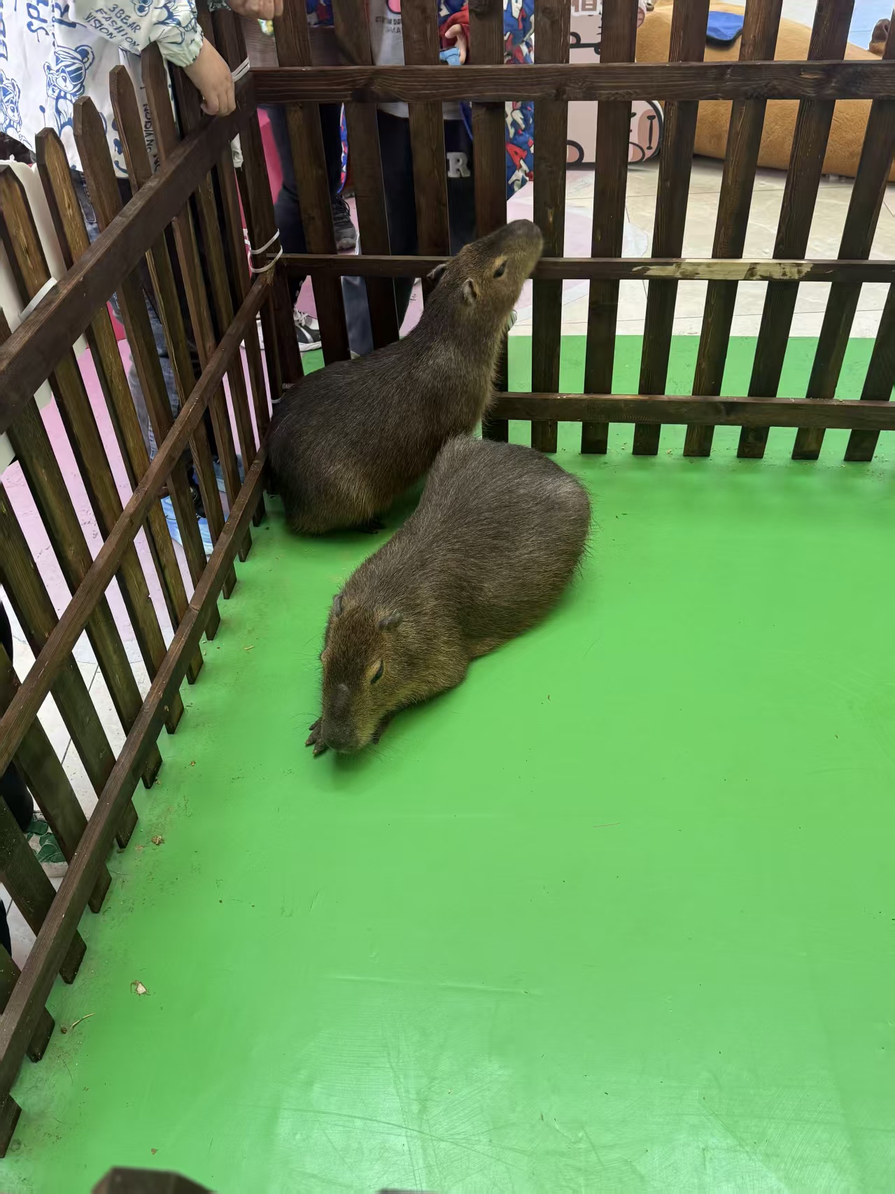 策划活动-超低价格