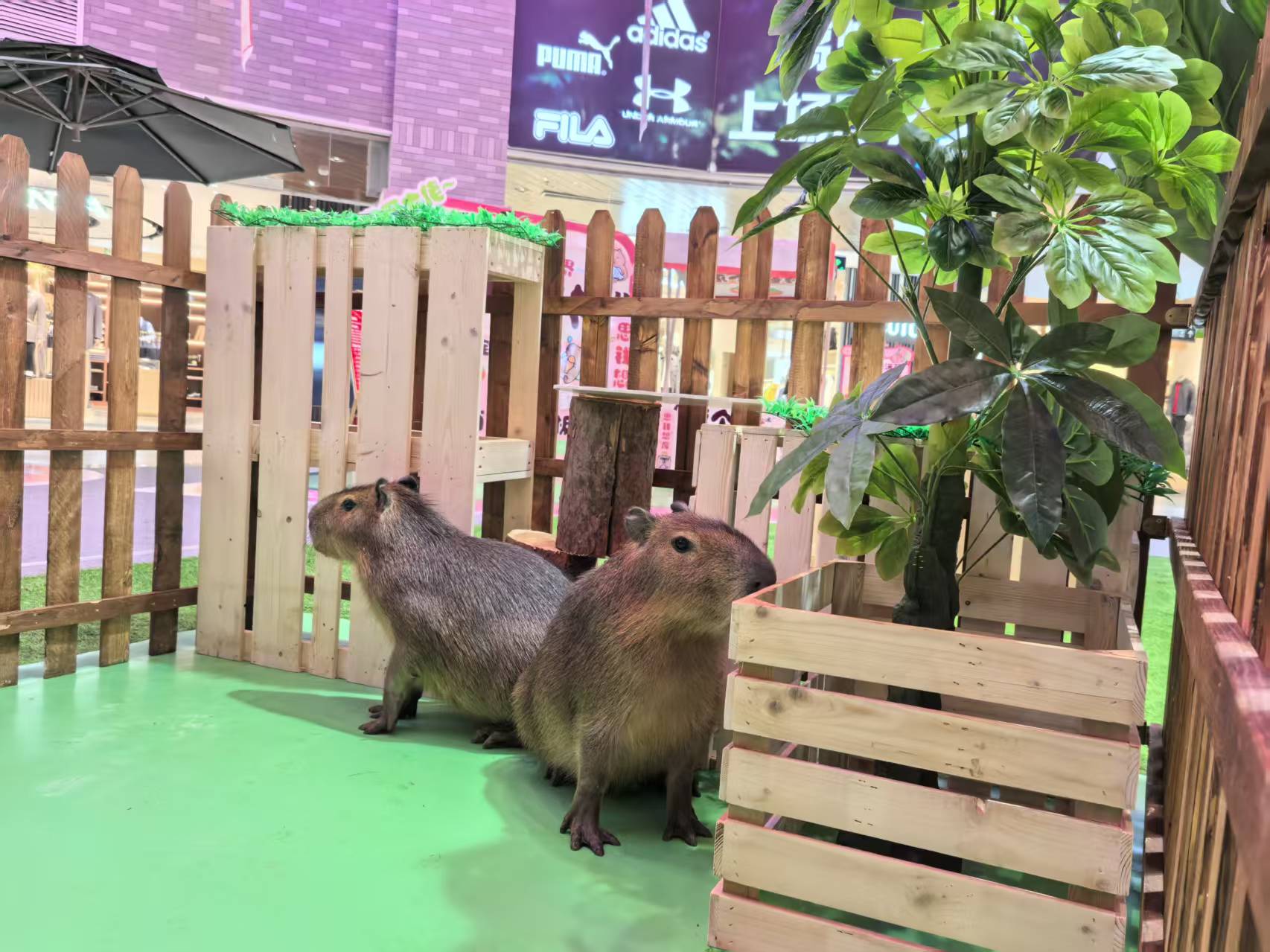 策划活动-超低价格