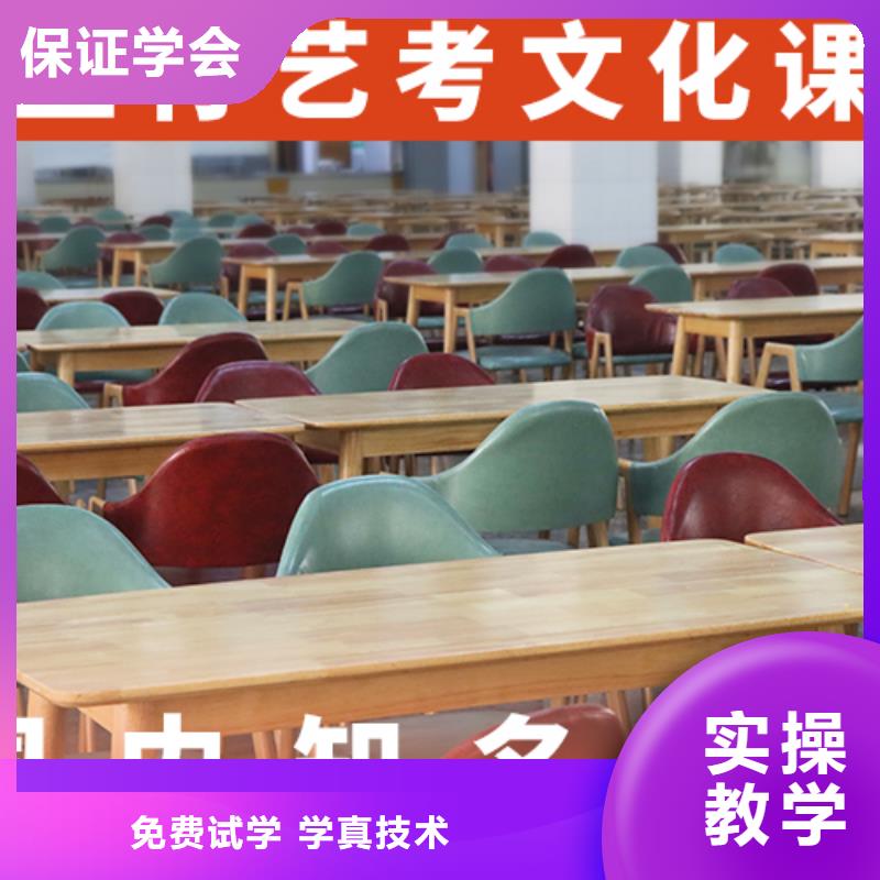 艺考文化课培训哪家好高升学率学真技术