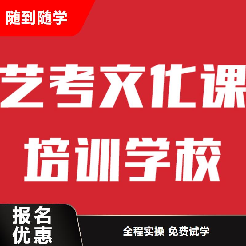 艺考文化课补习机构好不好双文化课教学当地公司