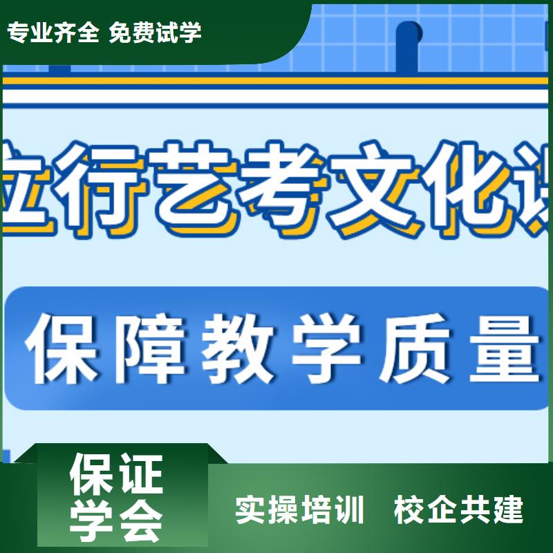 预算不高，艺考文化课补习学校排名手把手教学