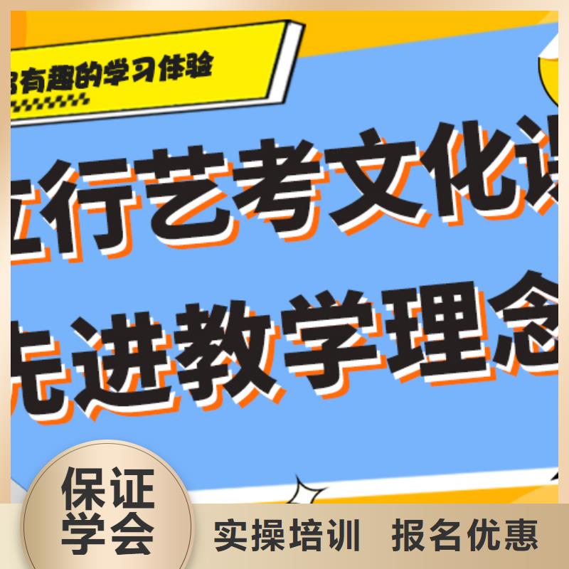 艺考文化课补习机构排行榜双文化课教学附近厂家