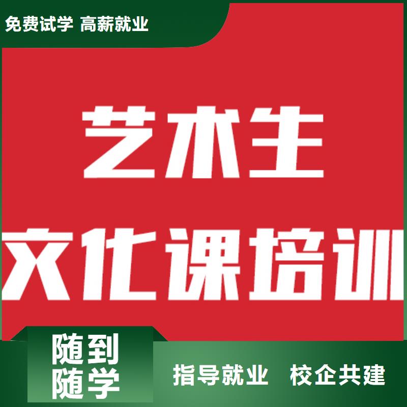 艺考文化课补习学校有什么选择标准吗学真本领