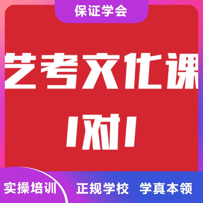 艺考文化课补习机构有几所技能+学历