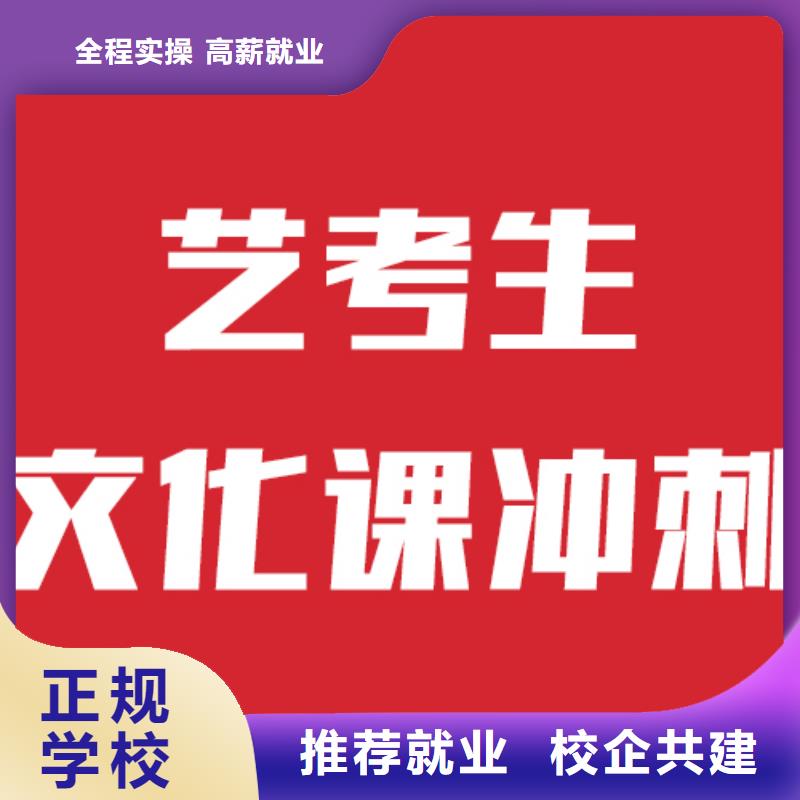 艺考生文化课辅导班有没有在那边学习的来说下实际情况的？理论+实操