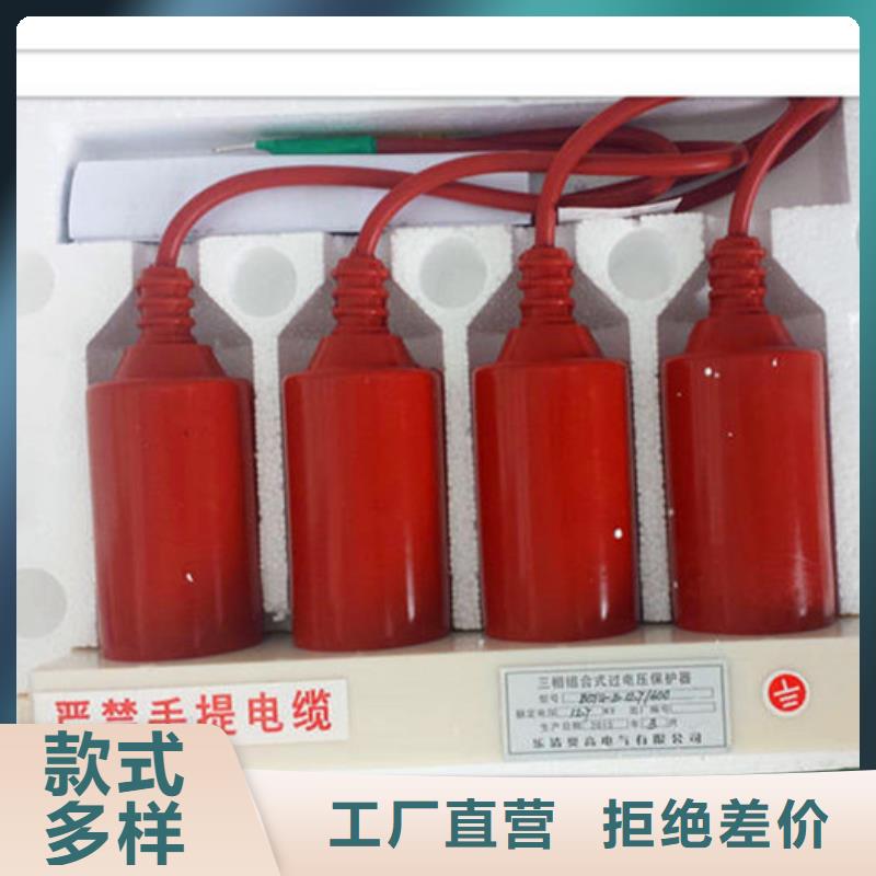 TBP-C-42F/200组合式过电压保护器源头厂家