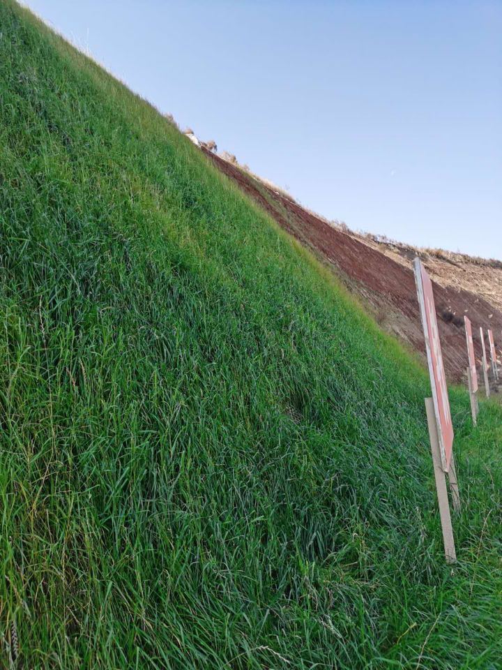 土壤固化剂凉山风能施工便道固化土高清图